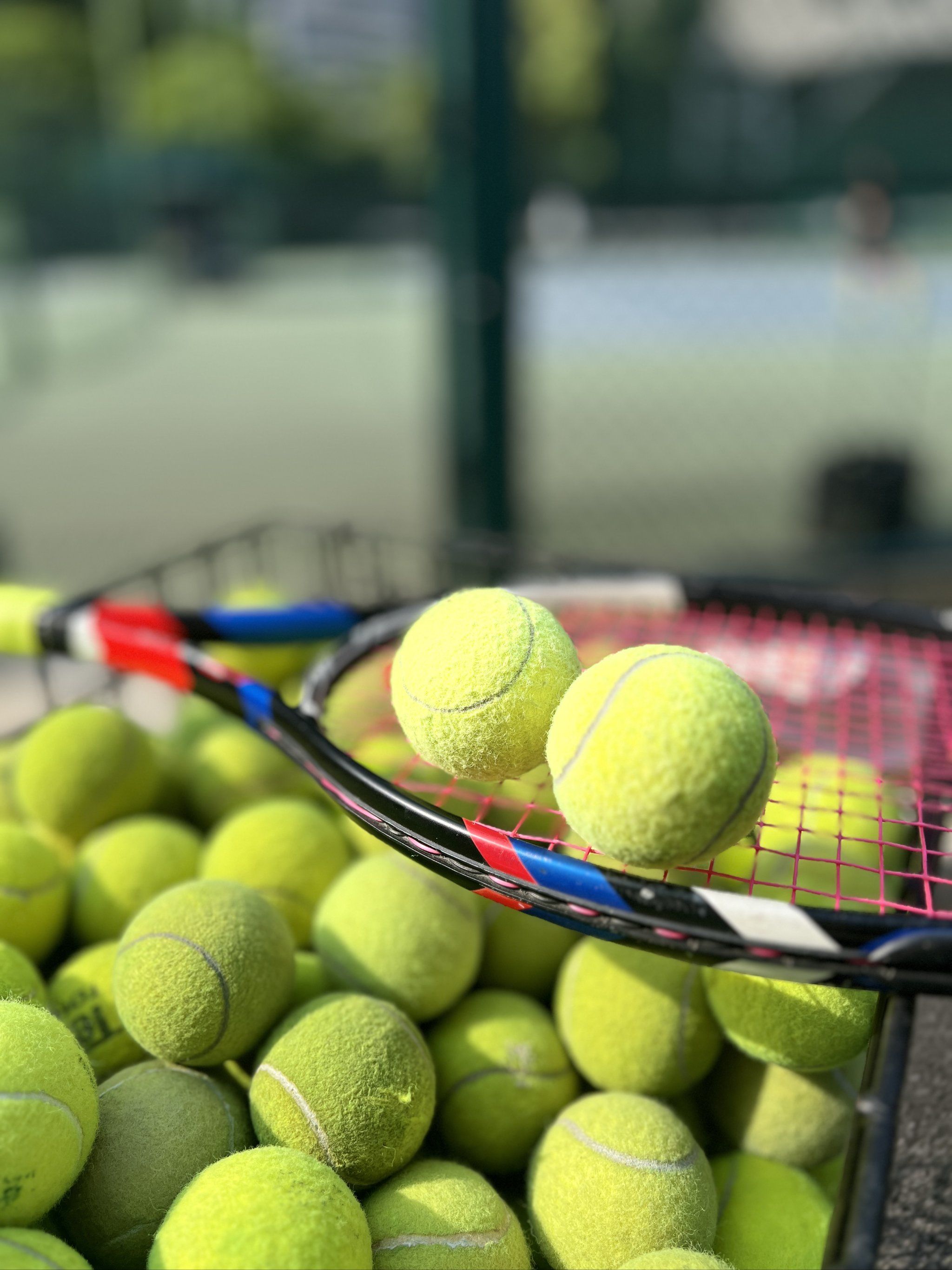 监管趋严 监管趋严